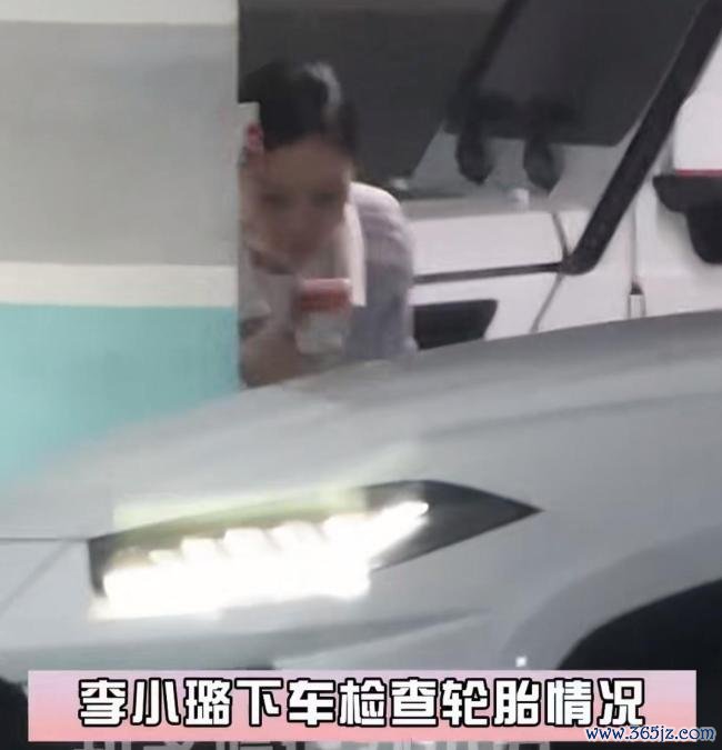 李小璐被曝生二胎 娱乐圈疑似再添新成员