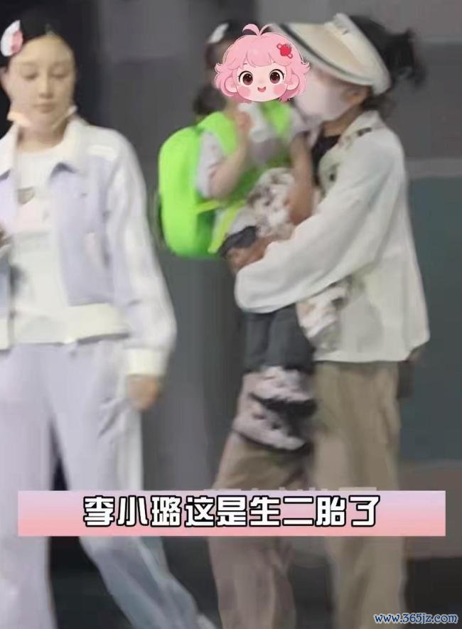 李小璐被曝生二胎