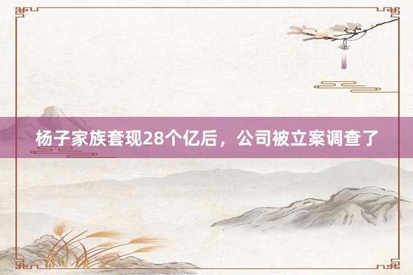 杨子家族套现28个亿后，公司被立案调查了